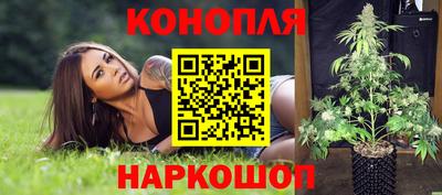 индика Славянск-на-Кубани